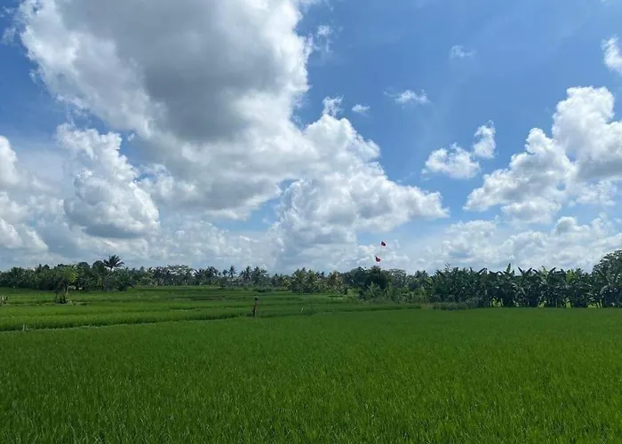 3br With Pool & View - Walkable To Center Ubud