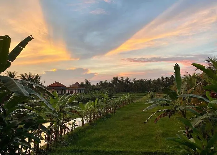 3br With Pool & View - Walkable To Center Casa vacanze Ubud